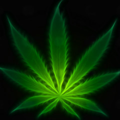 reggae ✌✌