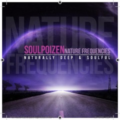 Nature Frequencies Preview