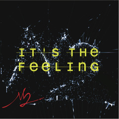 Its The Feeling (Original Mix)