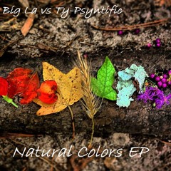Turquoise (Big La vs Ty-Psyntific)