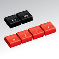 Yes Or No (Choose One)