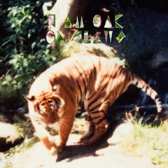 I Am Oak On Trees And Birds And Fire (Sam Feldt Vs Bloombox) Ft. Dj G3NjUiCe Breakbeat RMX