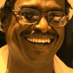 محمد حسن سالم حميد