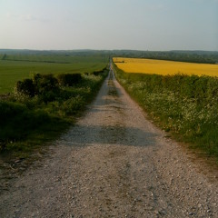 Dogs In The Rising Sun [demo]