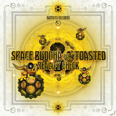 Space Buddha Vs Toasted - Connection To Psy (2014)