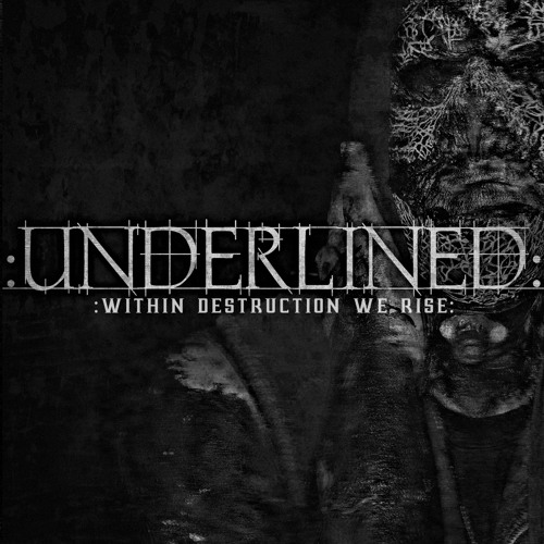 Within Destruction We Rise