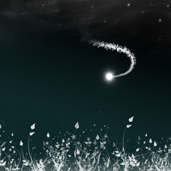 The Project - Falling Star