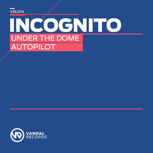 VDL 014 - Incognito - Autopilot (Original Mix)