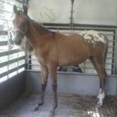 Dont Cry At The Thunder Child