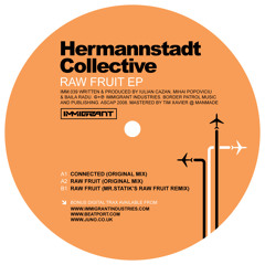 Hermannstadt Collective - Raw Fruit (Original Mix)