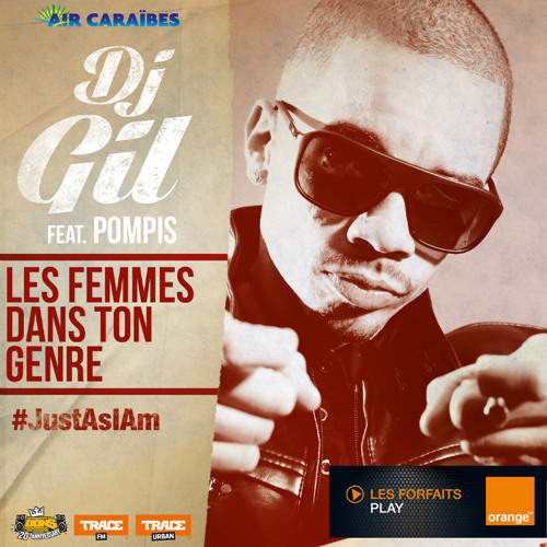 PomPis Feat DJ Gil -  Les femmes dans ton genre (#JustAsIAm 2K14)