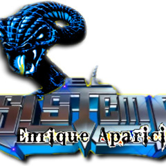 EL SISTEMA SONIDERAS PERRAS