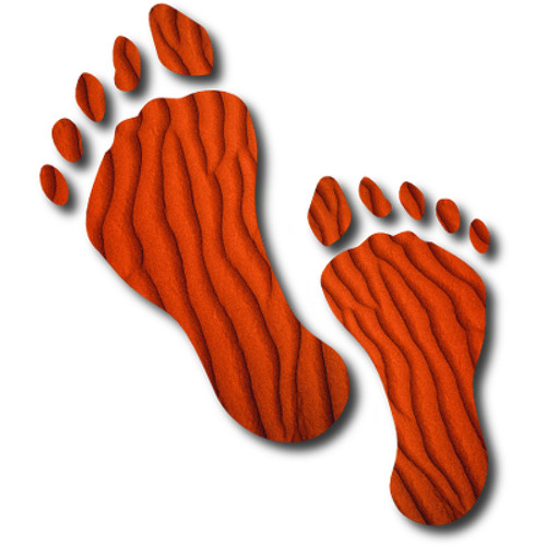 Бразильские футболисты празднуют. Foot tour. Foot tour. Foot tour. Foot tour.