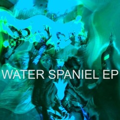 Water Spaniel - Warmth (Remix) African Drum Machine Ft. Eric Leslie