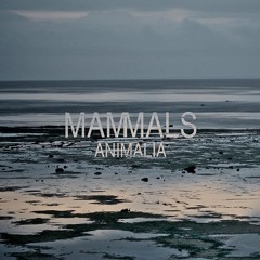 Mammals 'Circles' Live Coach House Session in July 2014