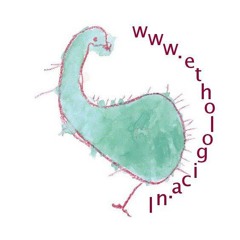 Ethologica Lied guitar pro 6 versie