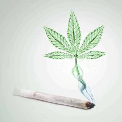 Bird Man / 五枚葉