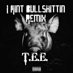 I Aint Bullshittin Remix