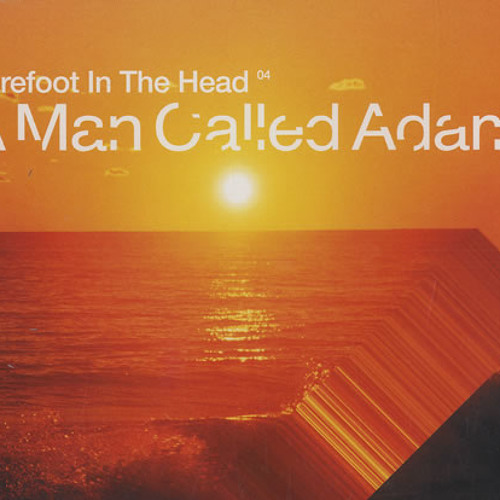 A Man Called Adam - Barefoot in the Head (Acoustic Version)