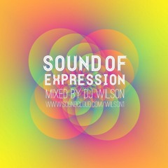 Dj Wilson - Sound Of Expression