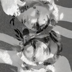 I Wish I Had An Evil Twin