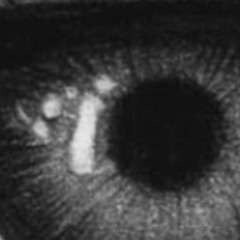 Acoustic Alien Guitar #ItCameFromOuterSpace