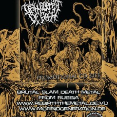Disfigurement of Flesh - Fibers Of Torned Entrails