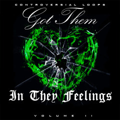 Got Them In They Feelings Volume 2 Demo by controversial loops