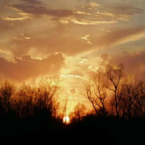 Beethoven sonate au clair de lune - andante