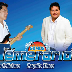 SOMOS TEMERARIOS PARRANDITA HUAROCHIRANA