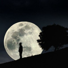 dai al qamer_MImi_MIdo ضئ القمر