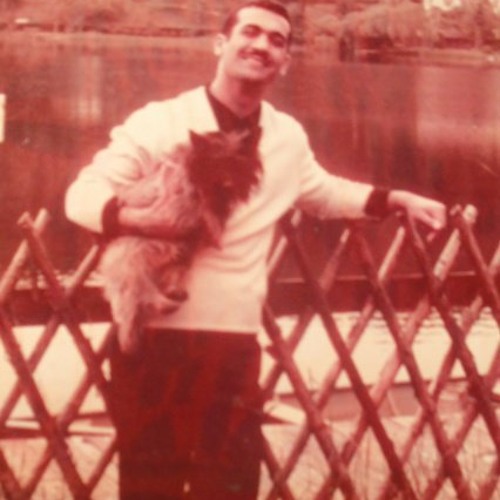 fereydoun farrokhzad & alis-فریدون فرخزاد و آلیس،اسب سفید