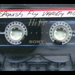 Cement Shoes ( DJ Spanish Fly REMIX Memphis style Instrumental )