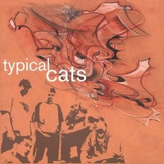Typical Cats - My Watch (Original Mix)