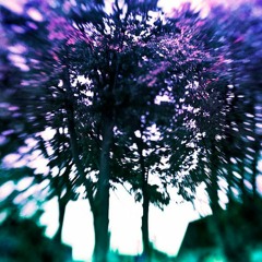 DBKM & Littall Ann - Gorilla