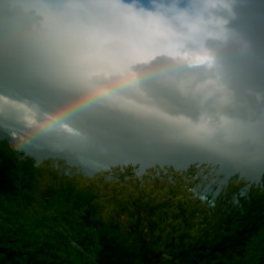 Since Ive Been Loving You by Led Zeppelin