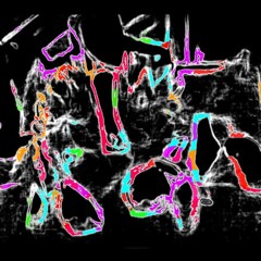 Synepscies ( lien vidéo : https://vimeo.com/206107934 )