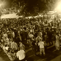 DJ Albruic - Deep House To Techno @ Le King Du Lac - 22.08.2014