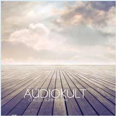 Audiokult Chilled Summer 2014