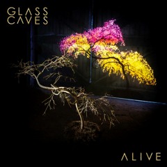 Glass Caves - Go