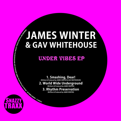 James Winter, Gav Whitehouse - Smashing, Dear! (Original Mix).mp3