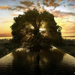 Fiat Lux