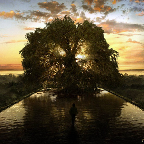 Fiat Lux