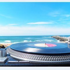 Mix live by MR HOUNCK @ Afterbeach Party 2014 (Percu By JimPercuLive)