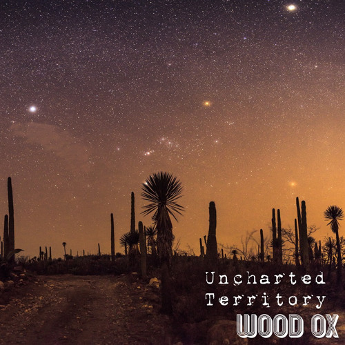 Pranayama - "Uncharted Territory" B-side FREE DOWNLOAD