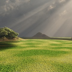 Hidden Fields