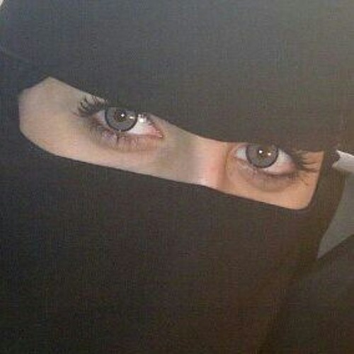 شيله ماهمني حب لا عنتر ولا عبله