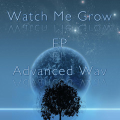 Advanced Wav - Earthly Purpose (Original Mix)