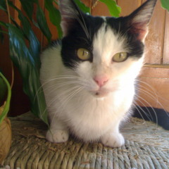 NORIMA - You Are [for Micha, I miss you]