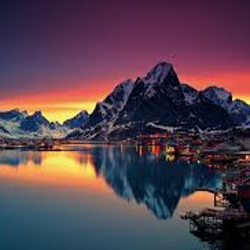 Forest Of Norway